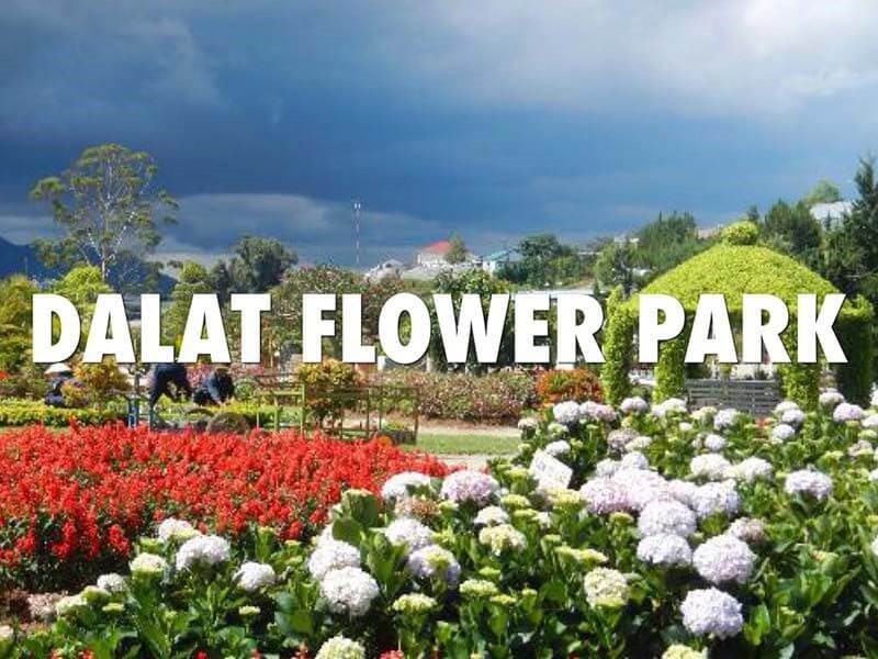 Dalat Flower Park 