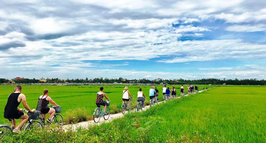 Foreign tourists choose to travel by bicycle