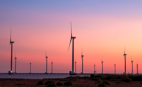 Exploring the Bac Lieu Wind Farm: Vietnam’s new symbol of sustainability