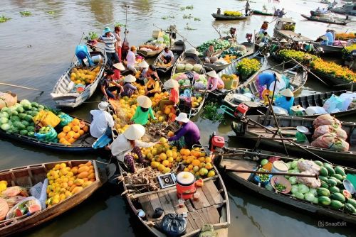 Mekong Delta Market: A Journey through the heart of the river life