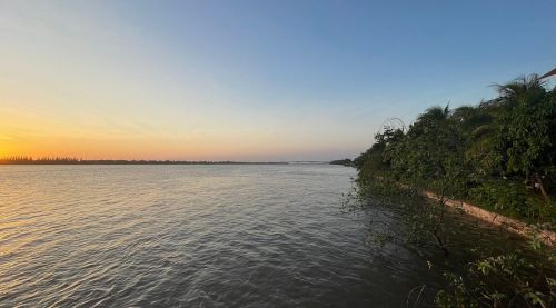Explore Ham Luong River - Authentic Mekong Delta experiences