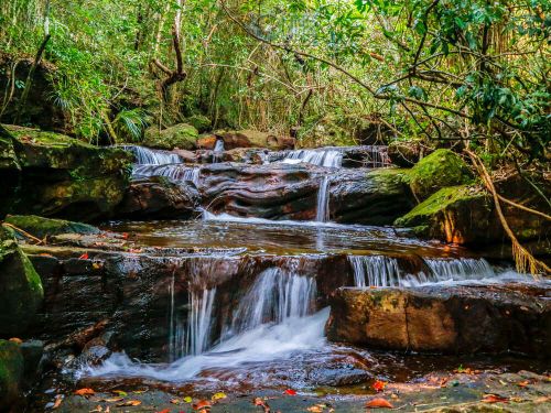 Tranh Stream Phu Quoc travel guide: Entrance fee, things to do & Tips