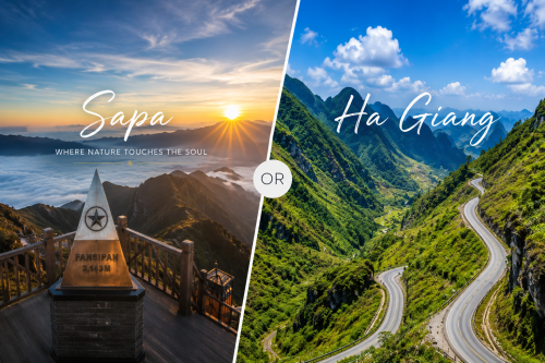 Sapa or Ha Giang: Which Mountain Destination Is Better?