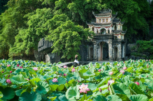 Tam Coc Wharf: Gateway to Ninh Binh's majestic beauty