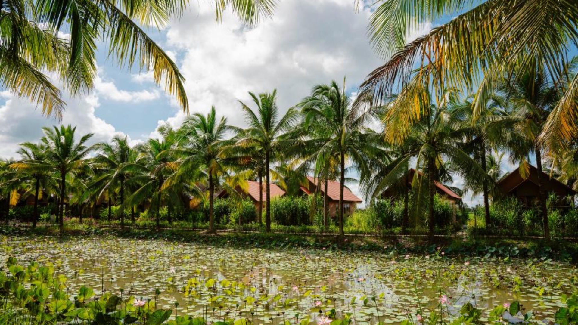 2-day-mekong-delta-tour-18