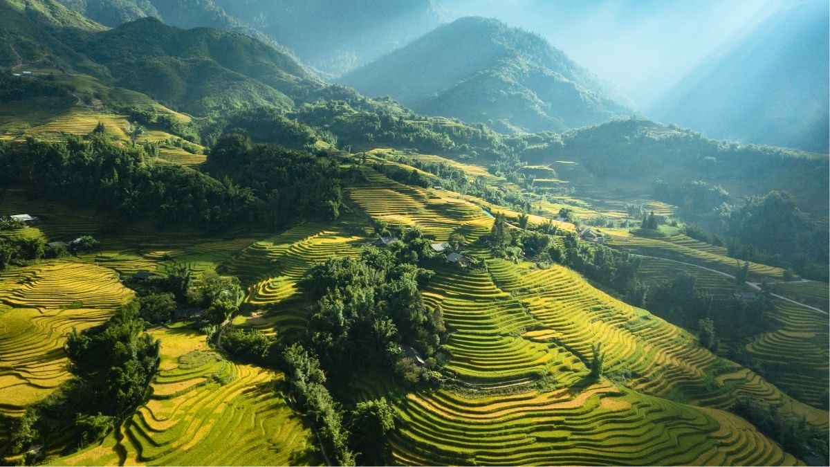 best-time-to-see-rice-fields-in-vietnam-5
