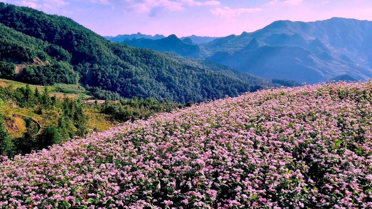 best-time-to-visit-vietnam-in-october-9