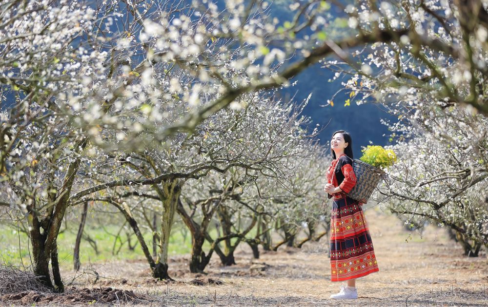 north-vietnam-itinerary-4