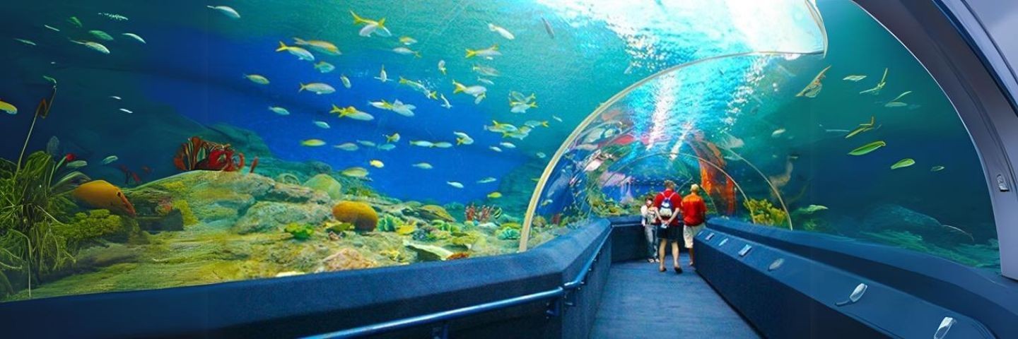 kham-pha-vien-hai-duong-hoc-nha-trang-traveloka
