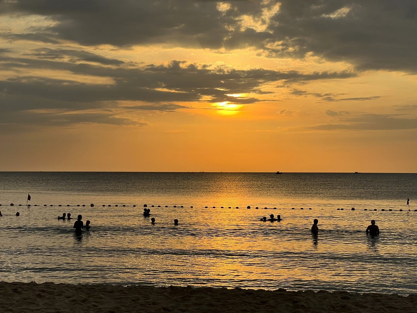 swimming-in-calm-coastal-waters