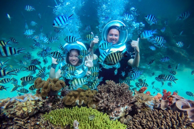 rich-marine-life-at-close-distance