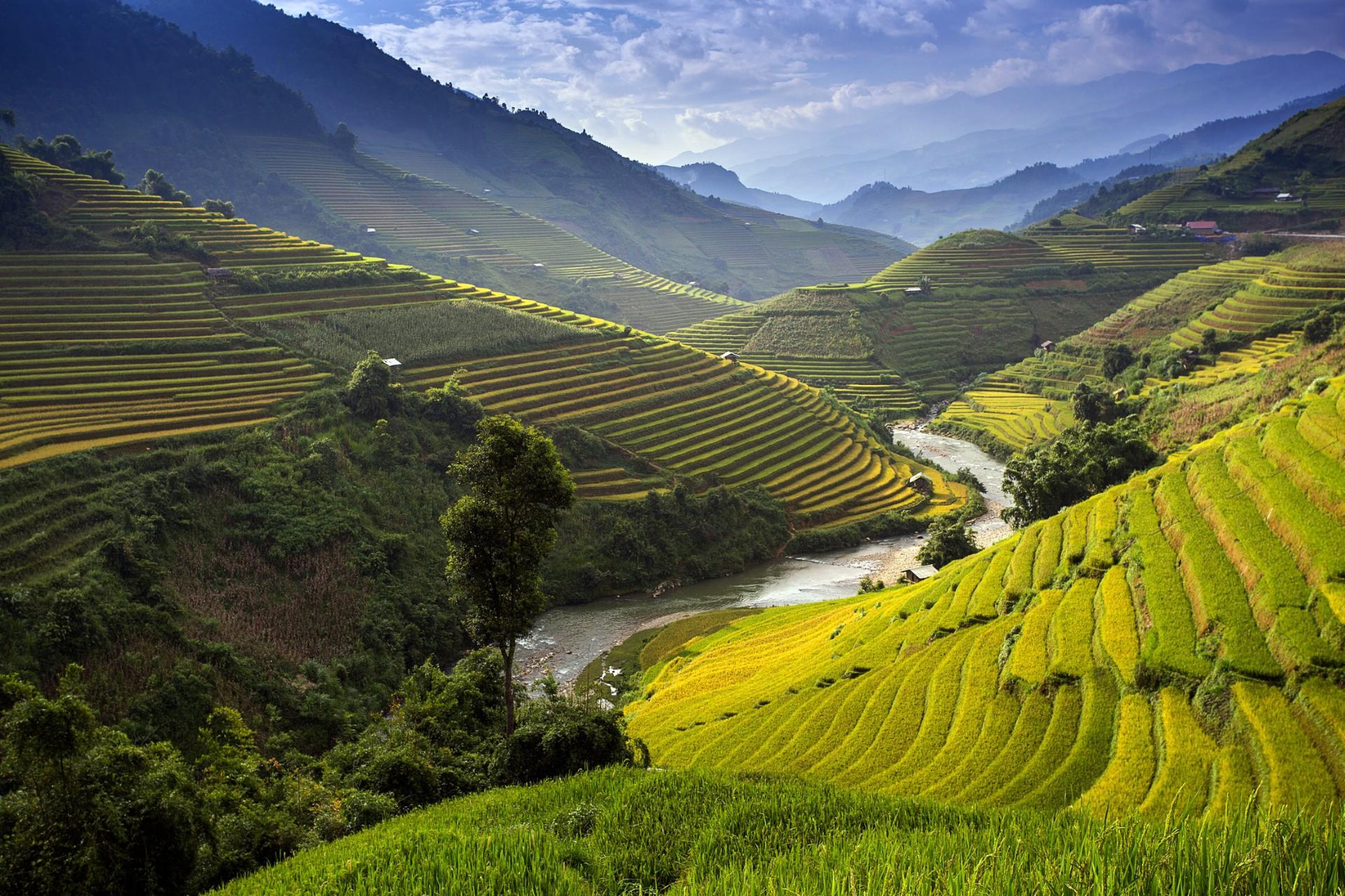 Climate & Best time to visit Sapa (source: Suheron)