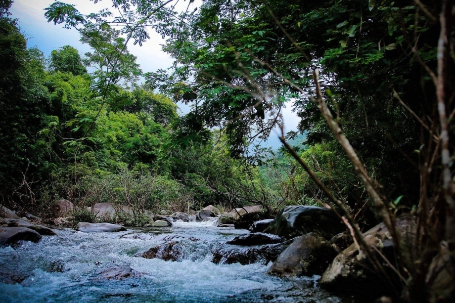 tam-dao-national-park-vn-express-international