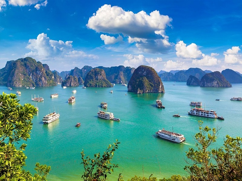 halong-bay-cruise