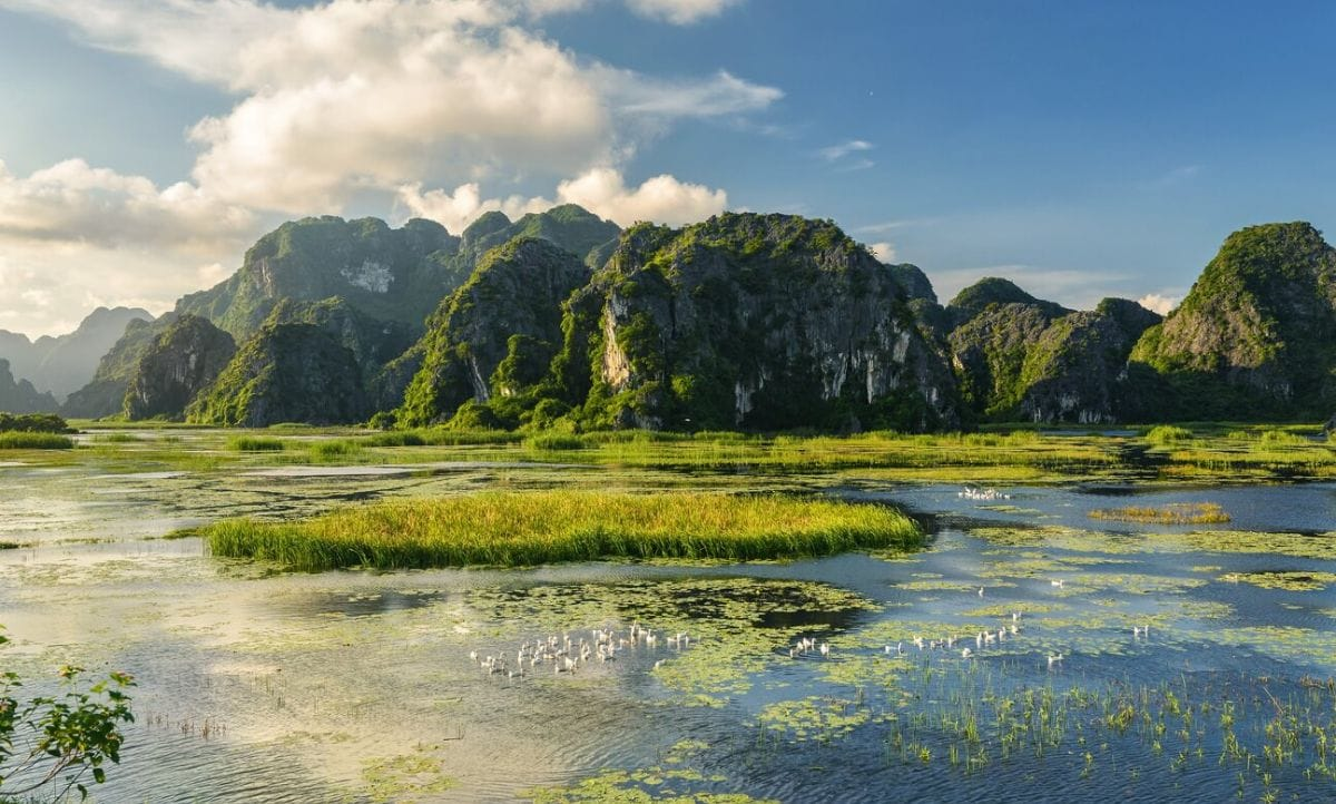 van-long-nature-reserve