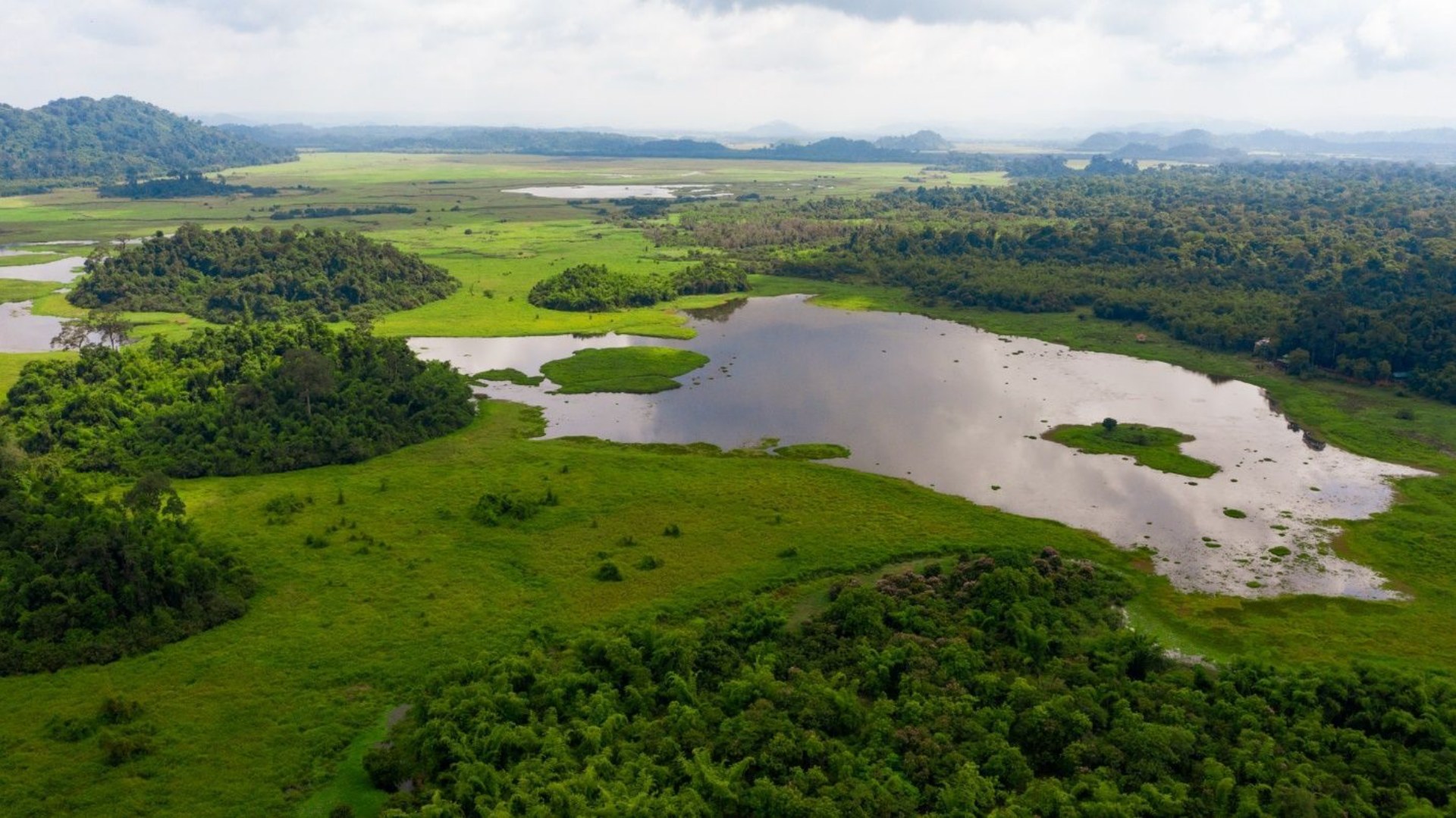 nam-cat-tien-national-park-6