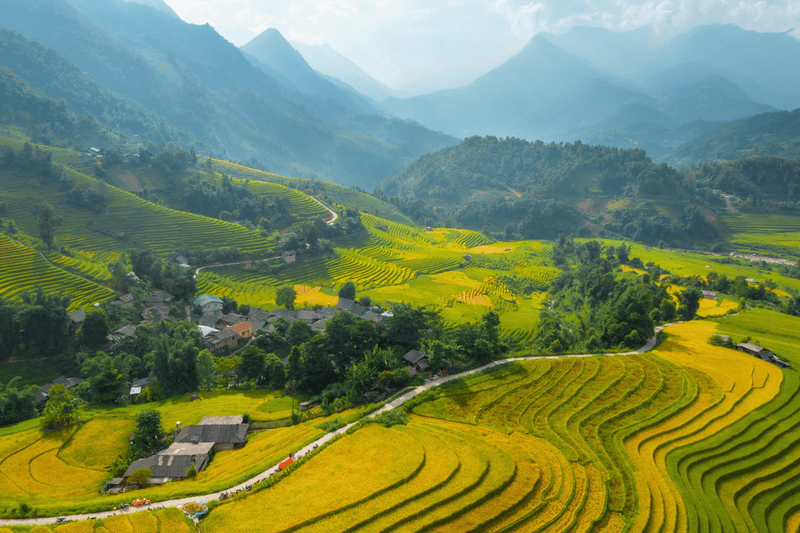 vietnam-or-thailand-9-