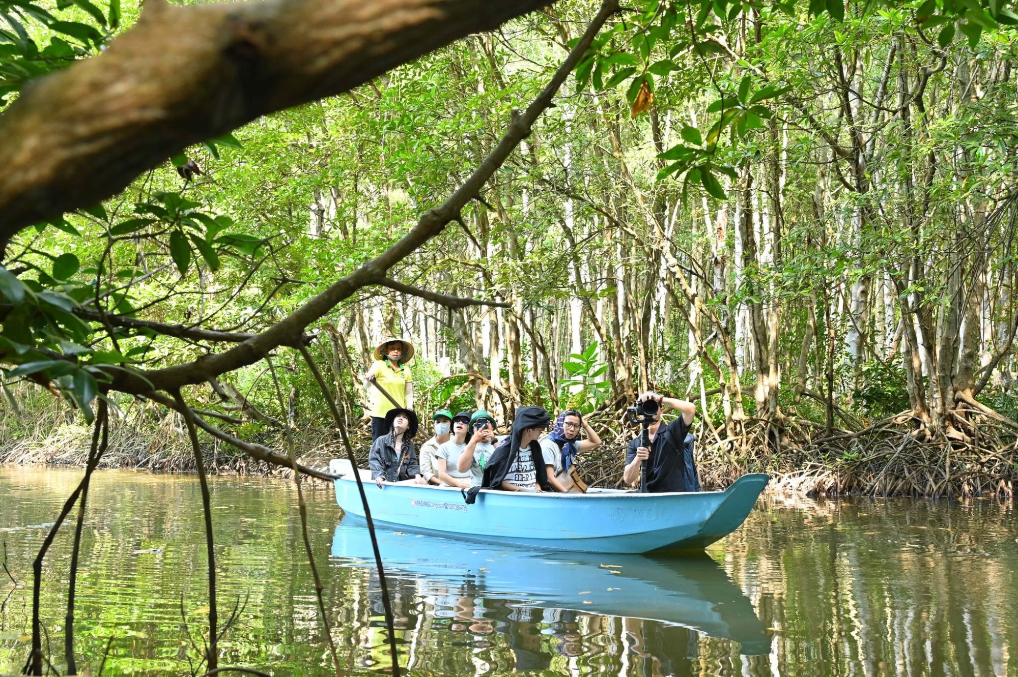 vam-sat-mangrove-forest-3