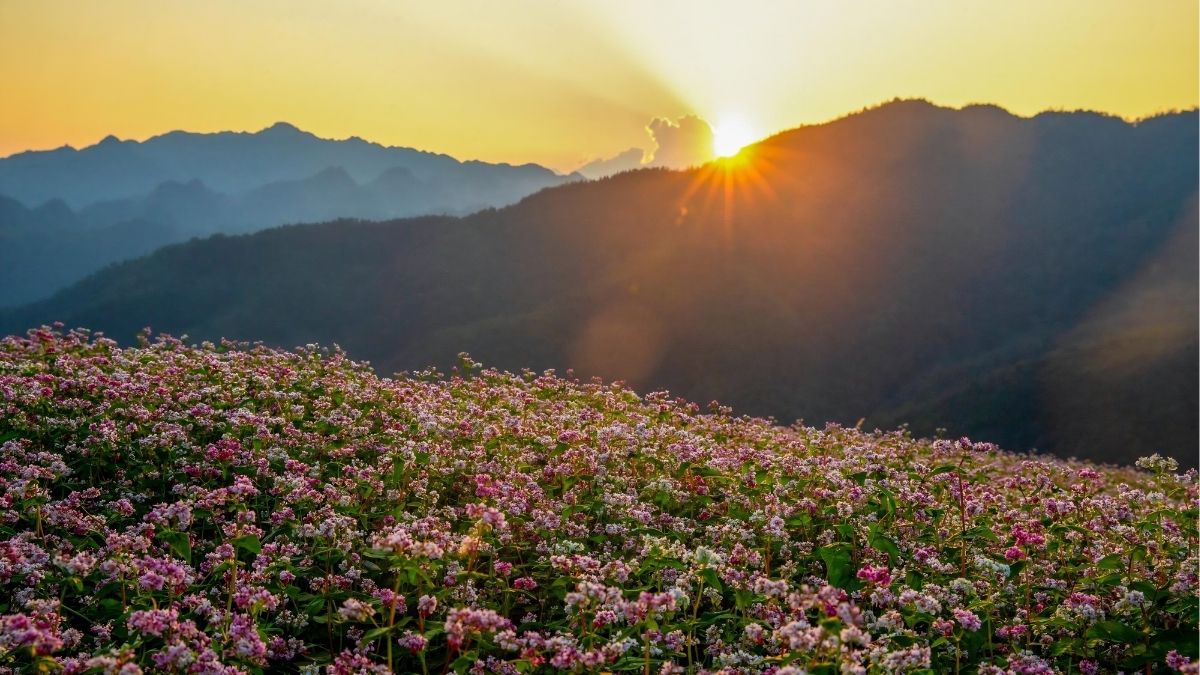 visit-ha-giang-in-november-9.jpg
