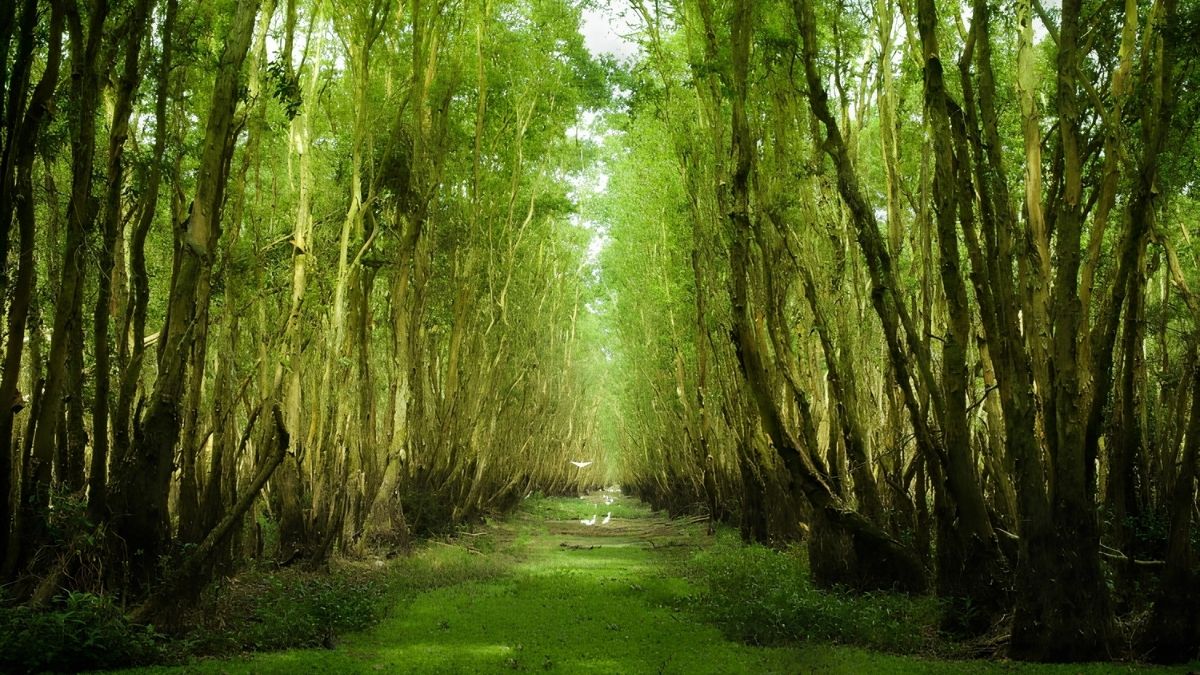 xeo-quyt-ecotourism-6